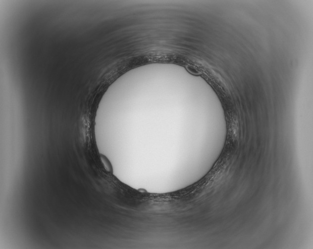 X0000101460964200807211330