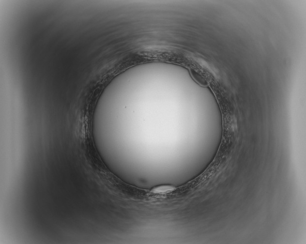 X0000101460965200807211330