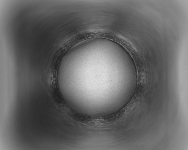 X0000101460966200807211330