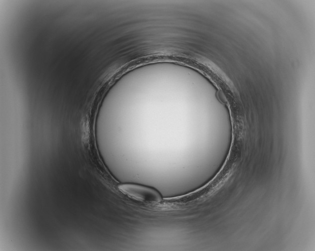 X0000101460969200807211330