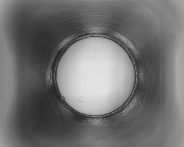 X0000101460970200807211330
