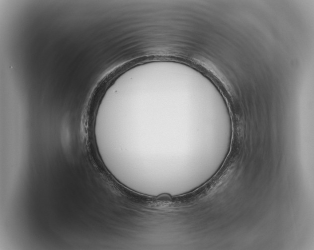 X0000101460971200807211330