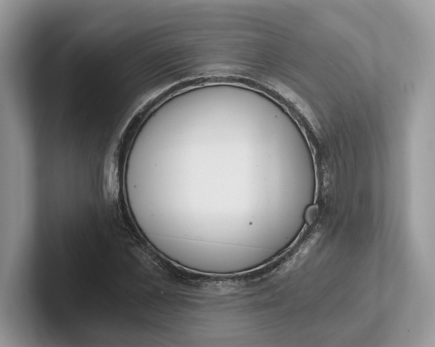 X0000101460973200807211330
