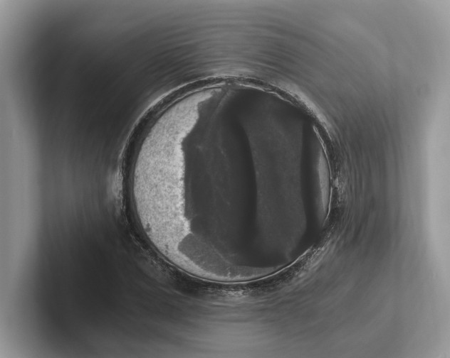 X0000101460975200807211330
