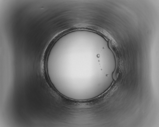X0000101460976200807211330
