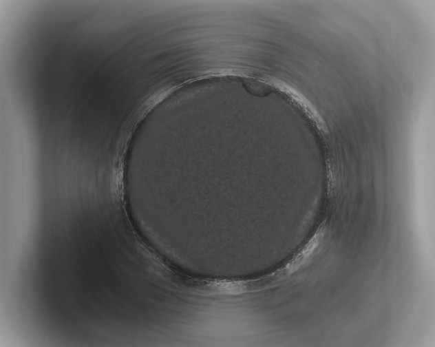 X0000101460977200807211330