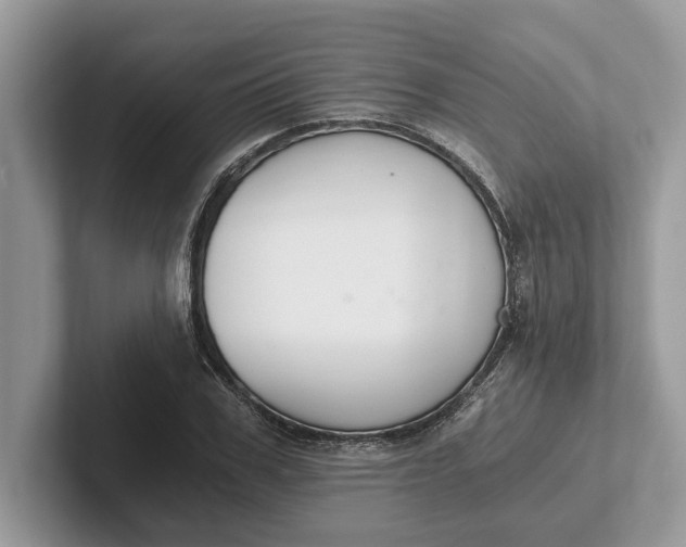 X0000101460979200807211330