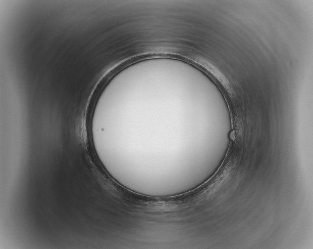 X0000101460980200807211330