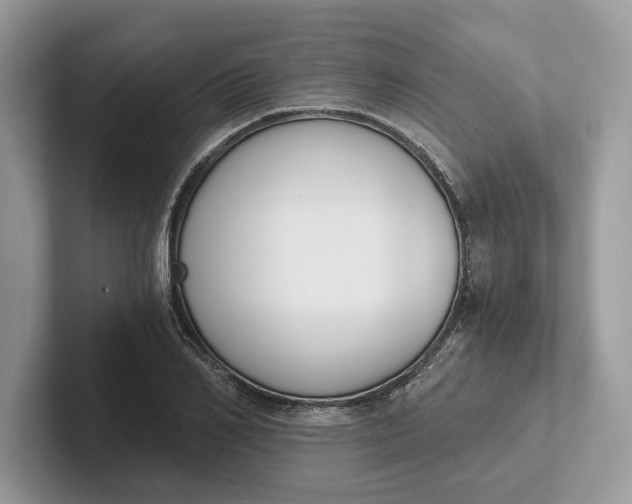 X0000101460982200807211330