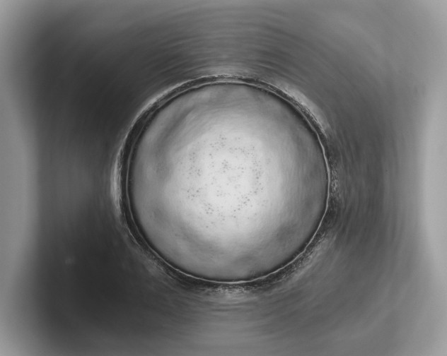 X0000101460983200807211330
