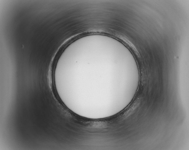 X0000101460984200807211330