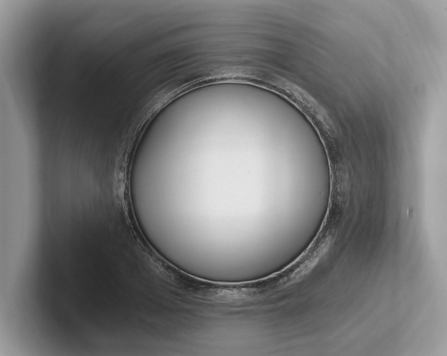 X0000101460985200807211330