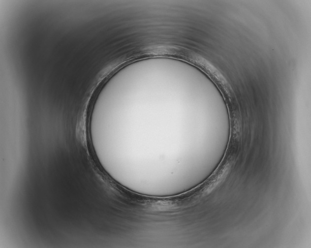 X0000101460986200807211330
