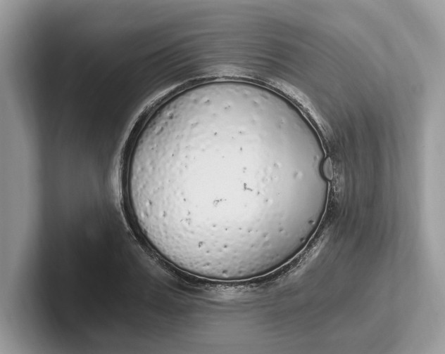 X0000101460987200807211330
