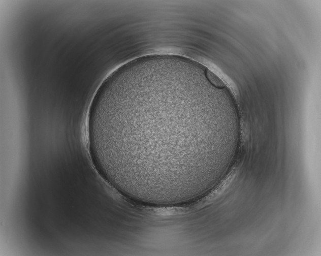 X0000101460988200807211330