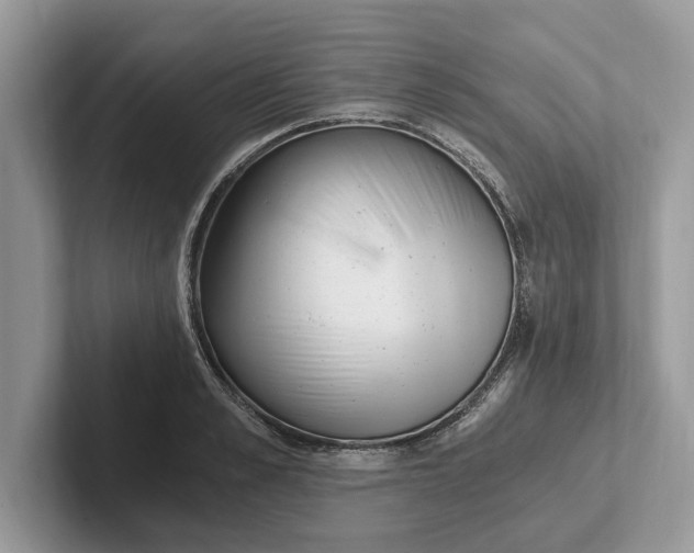 X0000101460989200807211330