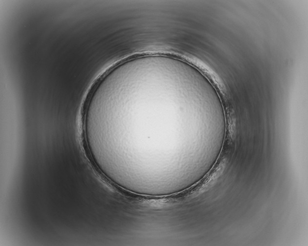 X0000101460990200807211330