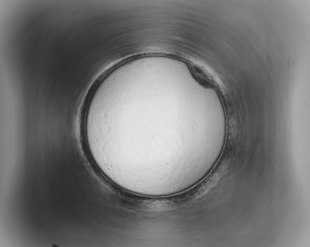 X0000101460991200807211330