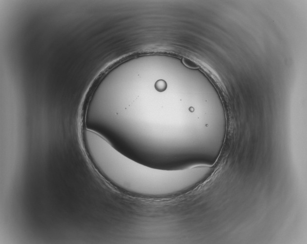 X0000101460992200807211329