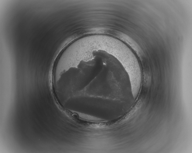 X0000101460994200807211329