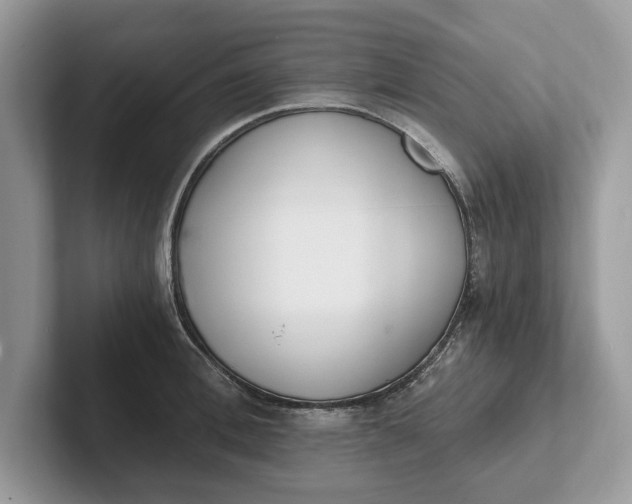 X0000101460996200807211329