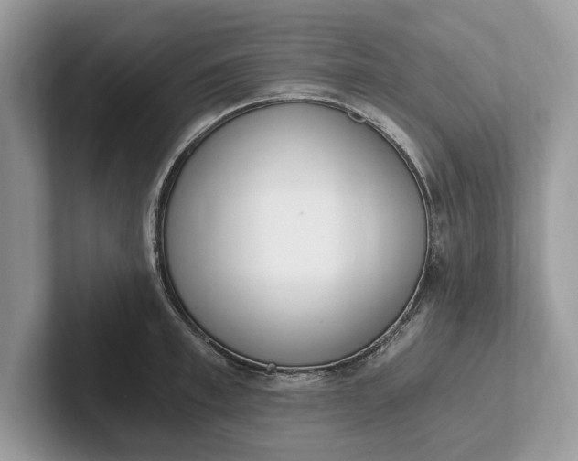 X0000101460997200807211329