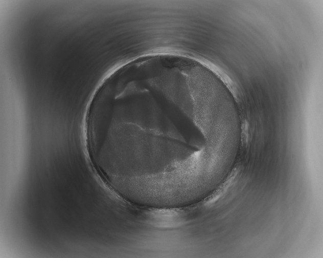 X0000101460998200807211329