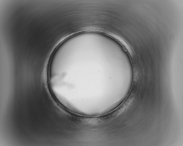 X0000101460999200807211329