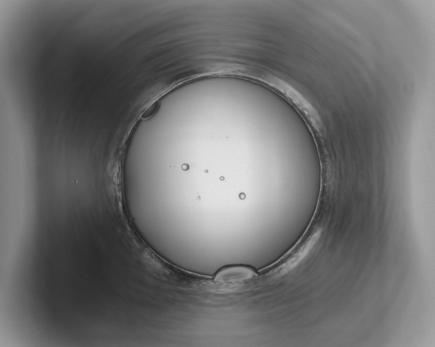 X0000101461001200807211329
