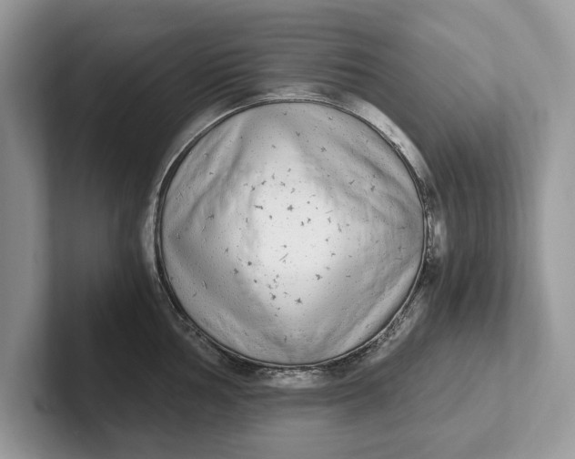 X0000101461002200807211329