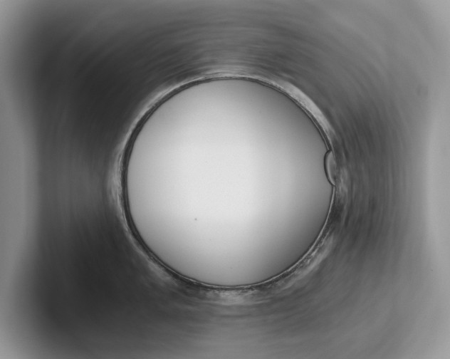 X0000101461005200807211329