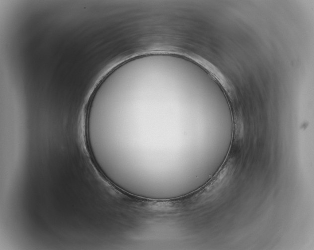 X0000101461006200807211329