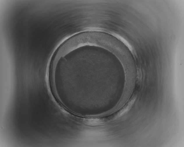 X0000101461007200807211329