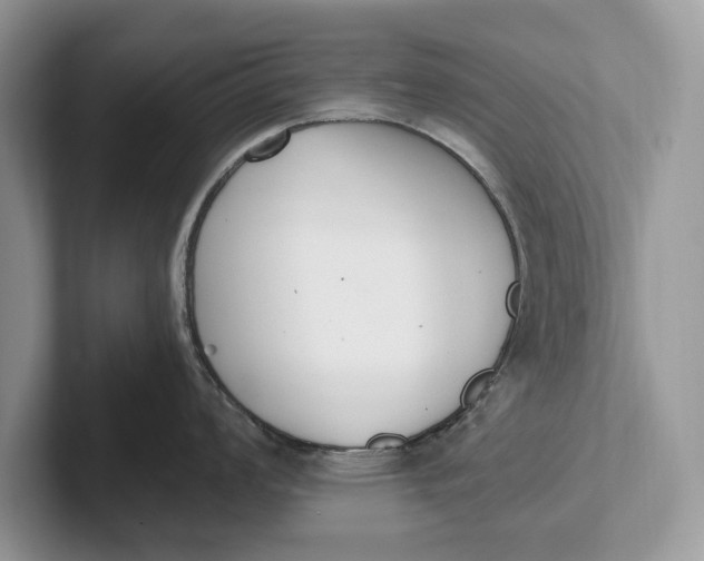 X0000101461008200807211329