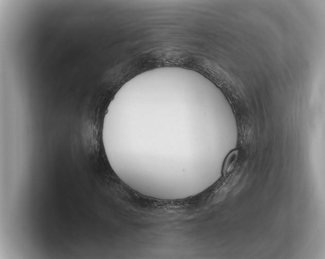 X0000101461010200807211329