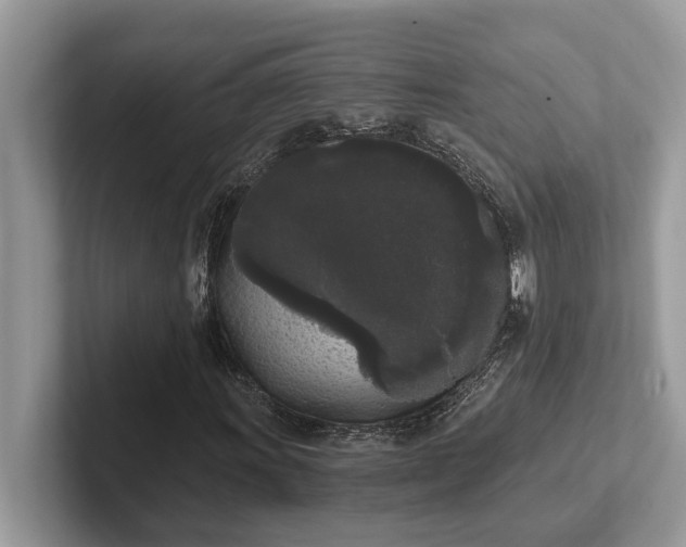 X0000101461011200807211329