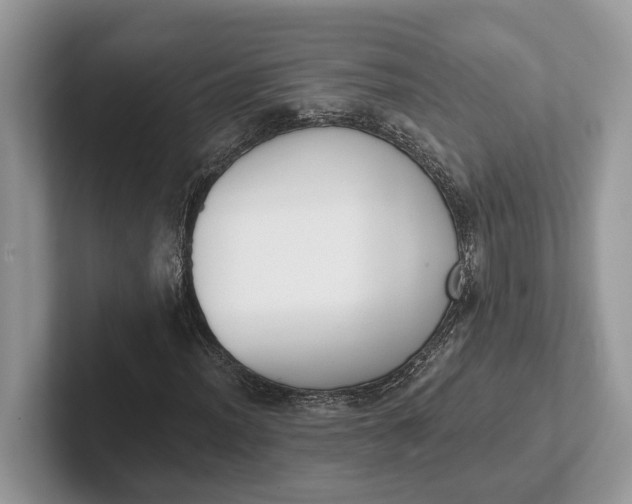 X0000101461012200807211329