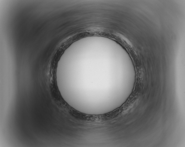 X0000101461016200807211329