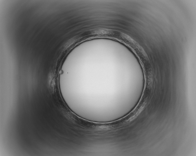 X0000101461017200807211329
