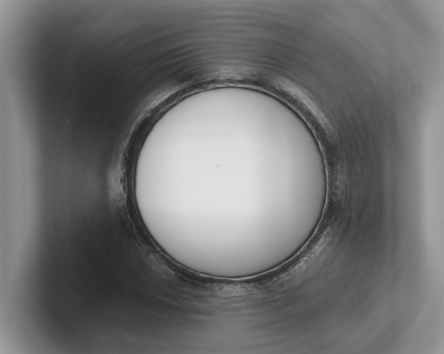 X0000101461018200807211329