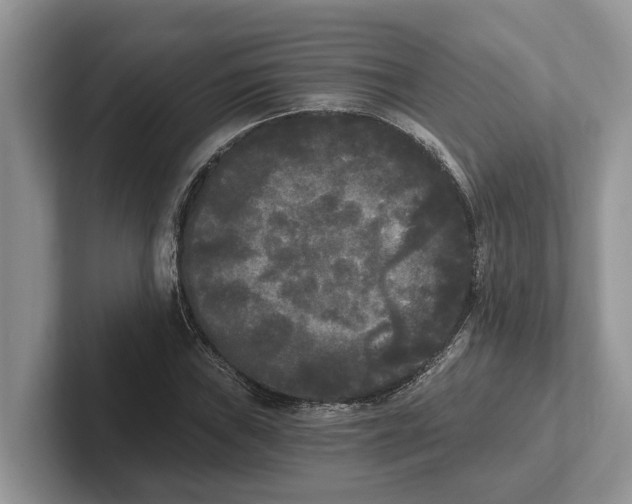 X0000101461019200807211329