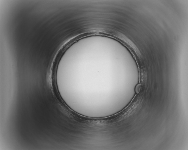 X0000101461020200807211329