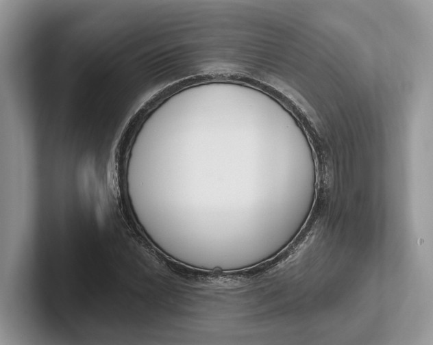 X0000101461022200807211329