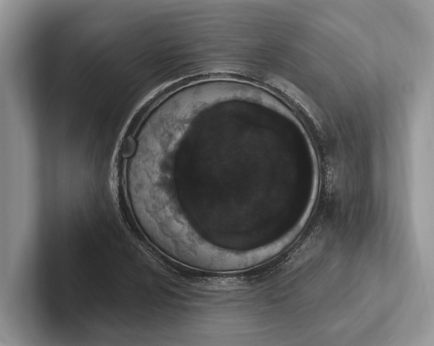 X0000101461024200807211329