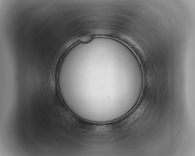 X0000101461025200807211329