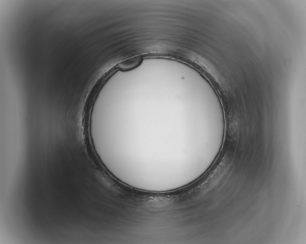 X0000101461026200807211329