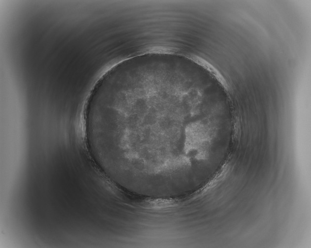 X0000101461027200807211329