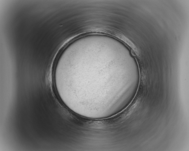 X0000101461028200807211329