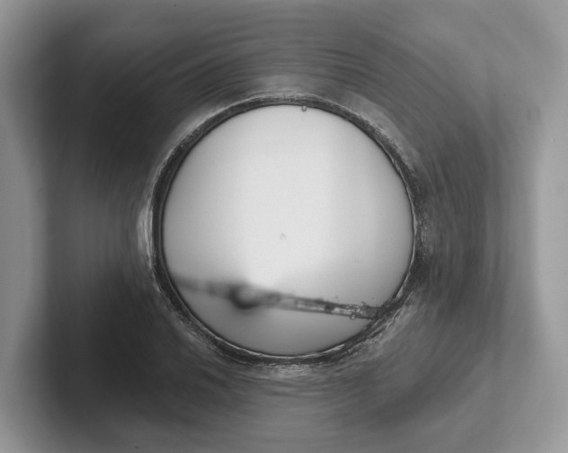 X0000101461030200807211329