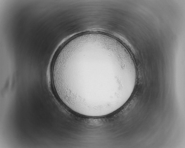 X0000101461032200807211329